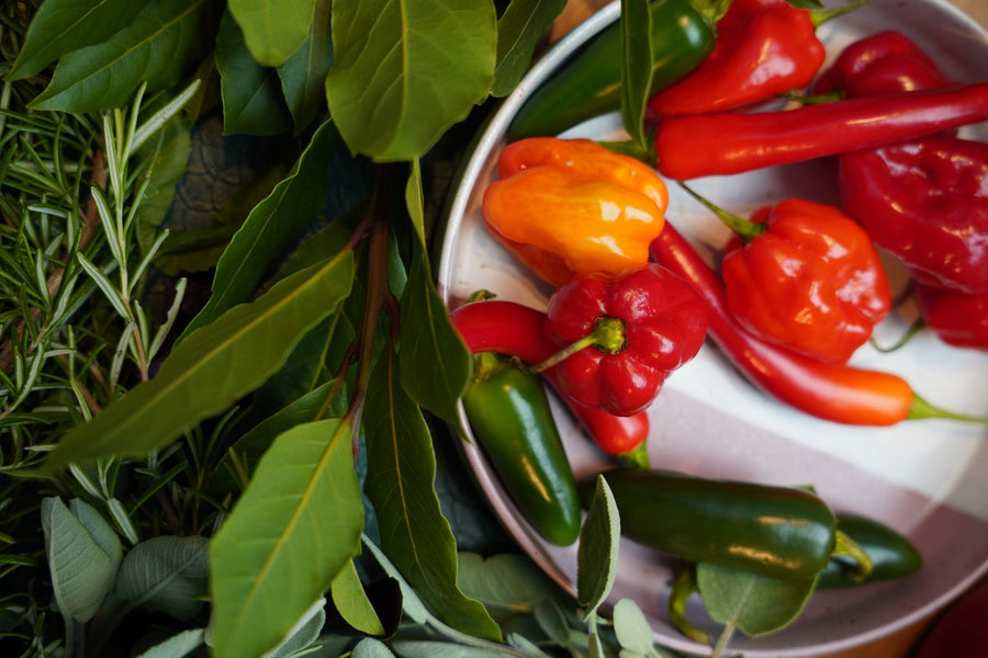 ZEST Haba Habanero chili salt blend product